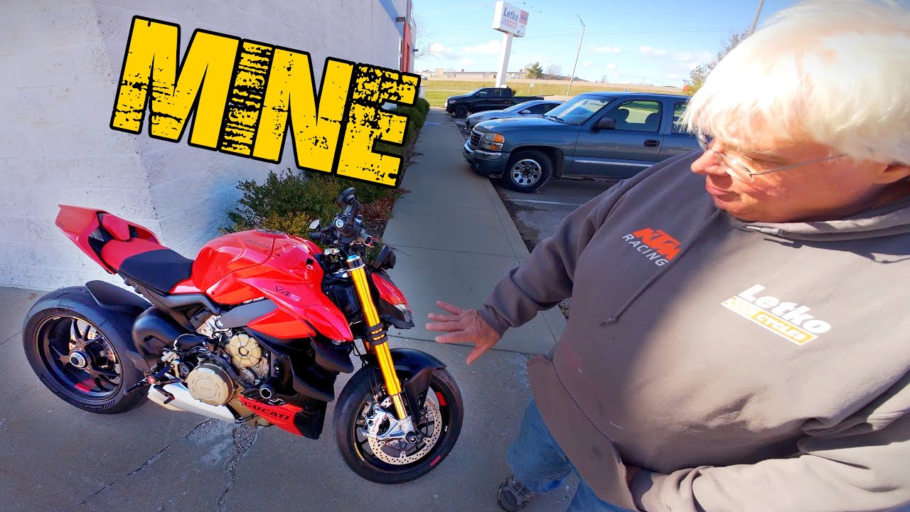 Маленькая свинка выглядит мило | Moto Monday 