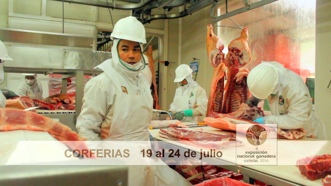 COLOMBIAGRARIA - Porcicarnes - Parte 2