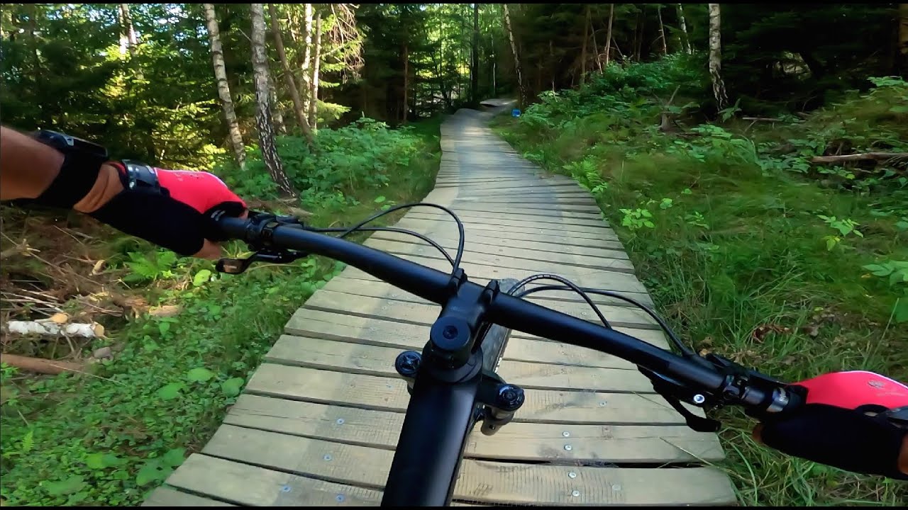 MTB - Skolnity Blue Line - beginner level