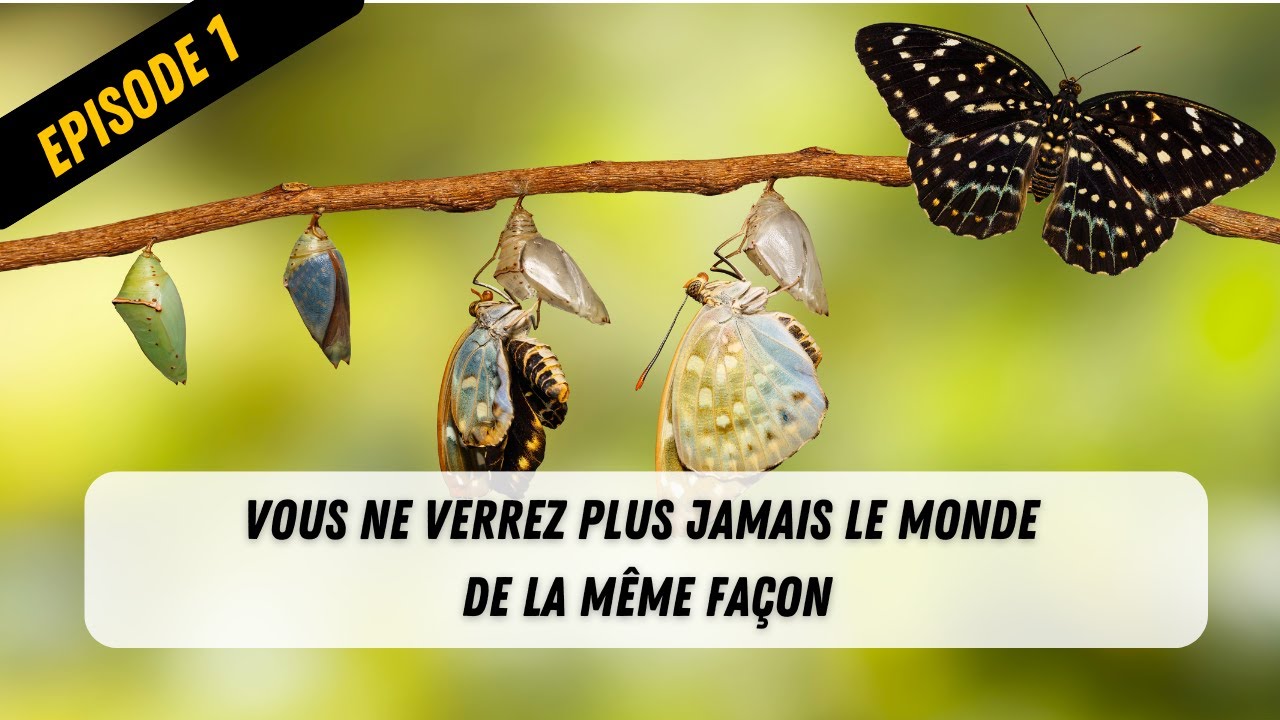 Votre vision du monde : un simple changement peut  transformer votre vie
