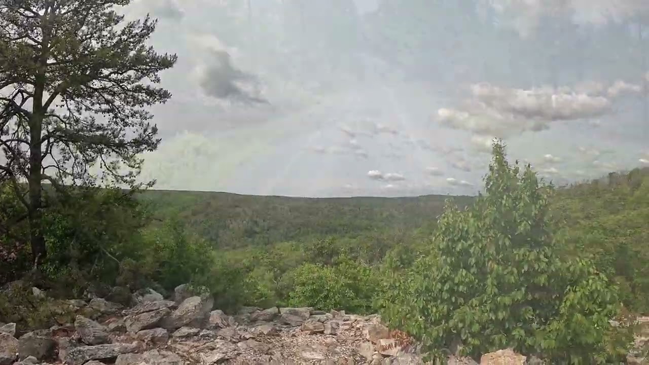 Michaux State Forest Dual Sport Ride