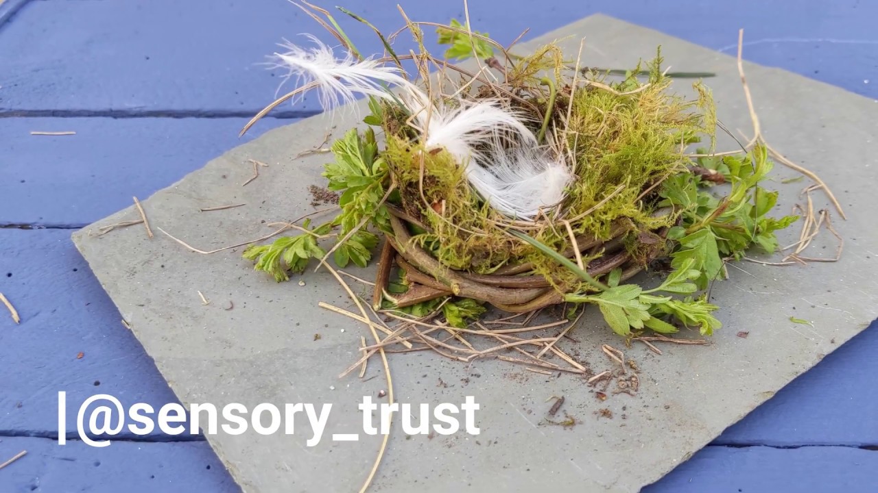 How to build a bird's nest using natural resources