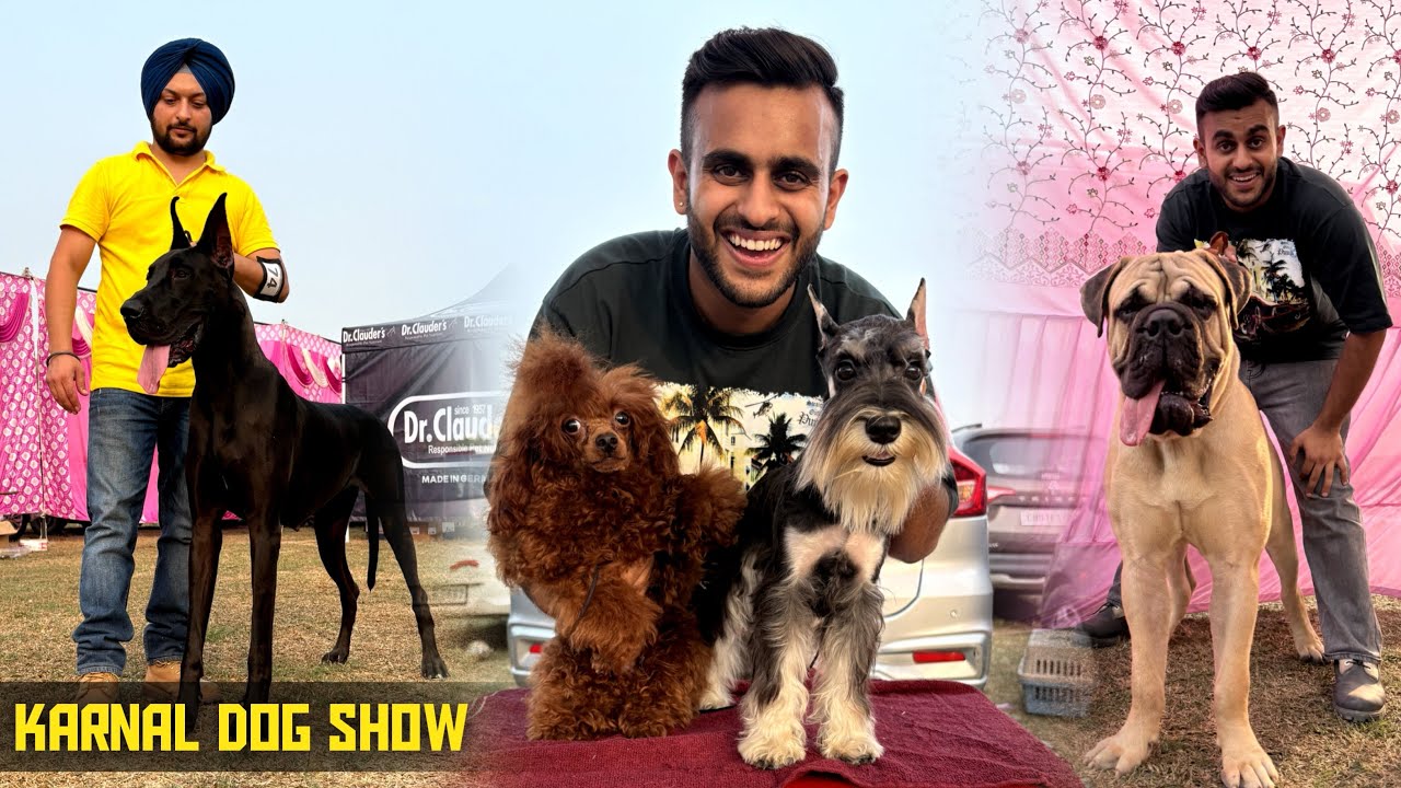 Biggest Dog show of Haryana! Karnal Dog show😱😍