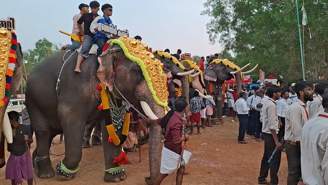 വമ്പൻ കറുകപുത്തൂർ നേർച്ച ഫെസ്റ്റ് 2025 kurukaputhur nercha fest eliphant march