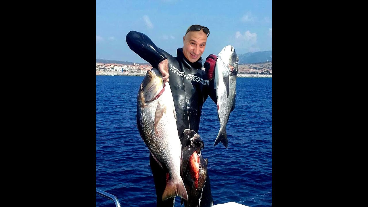 tutto bene bizerta  هذه بنزرت