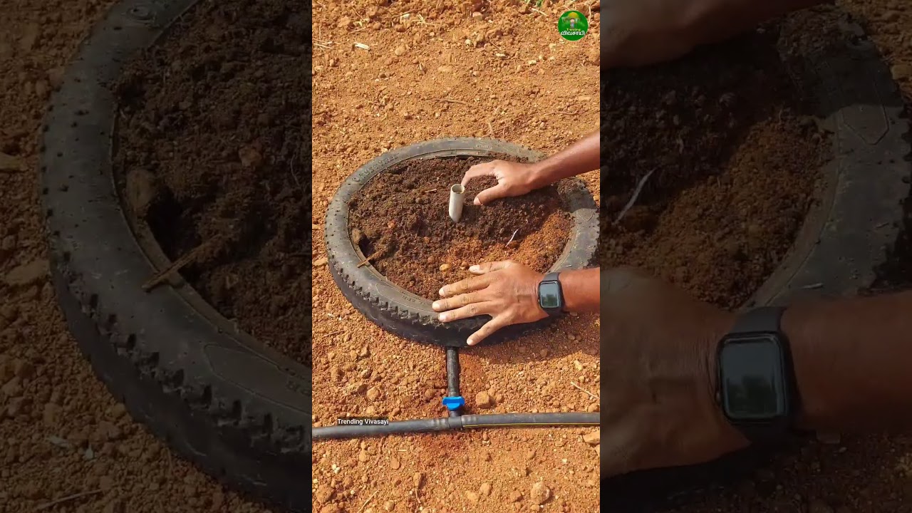 🔥Gardening idea!!👌🏻👆🏻Sprinkler method for home garden! #gardening #ideas #short