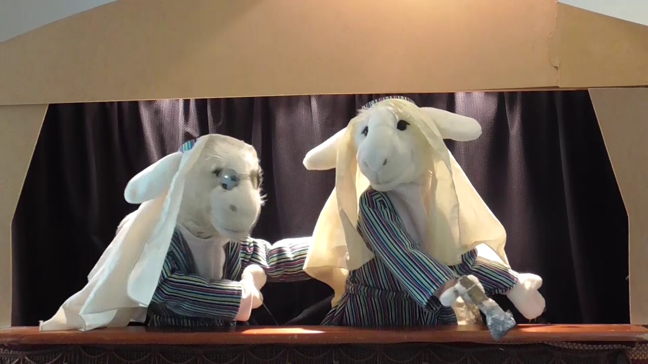 Snapshots from Bethlehem - The Sheep