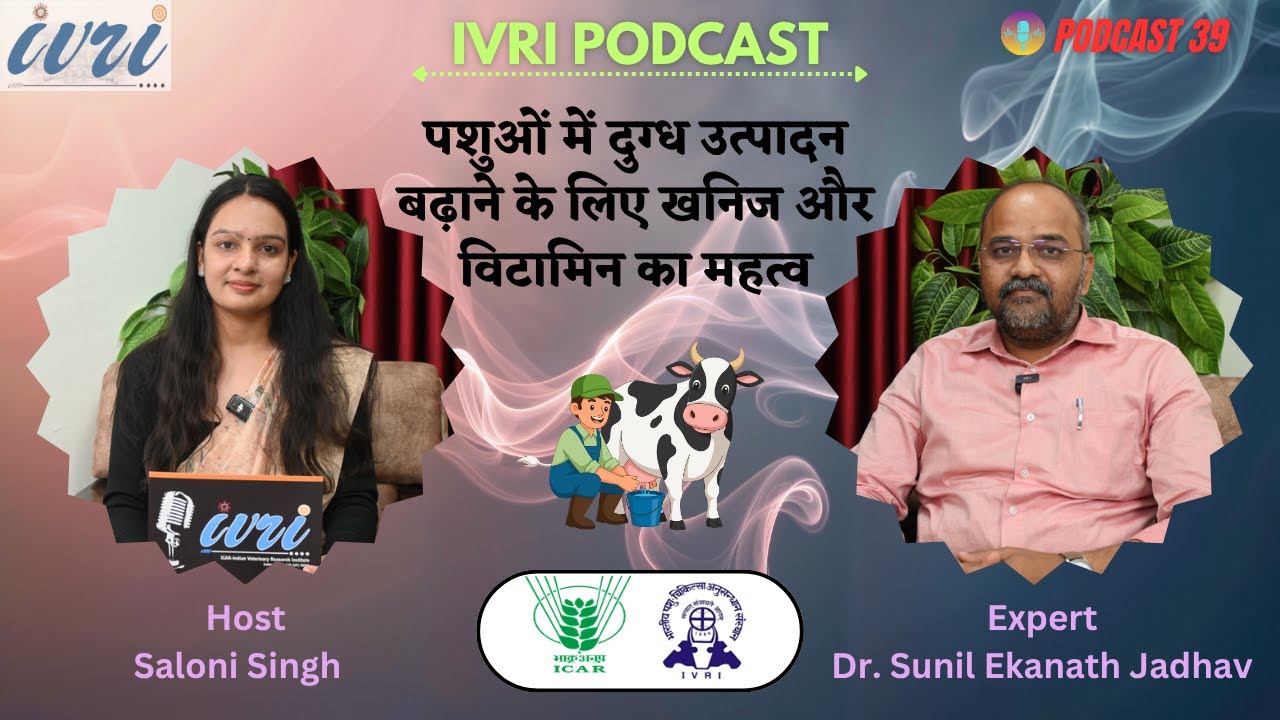 Importance of minerals and vitamins for increasing milk production in animals ||  Podcast 39