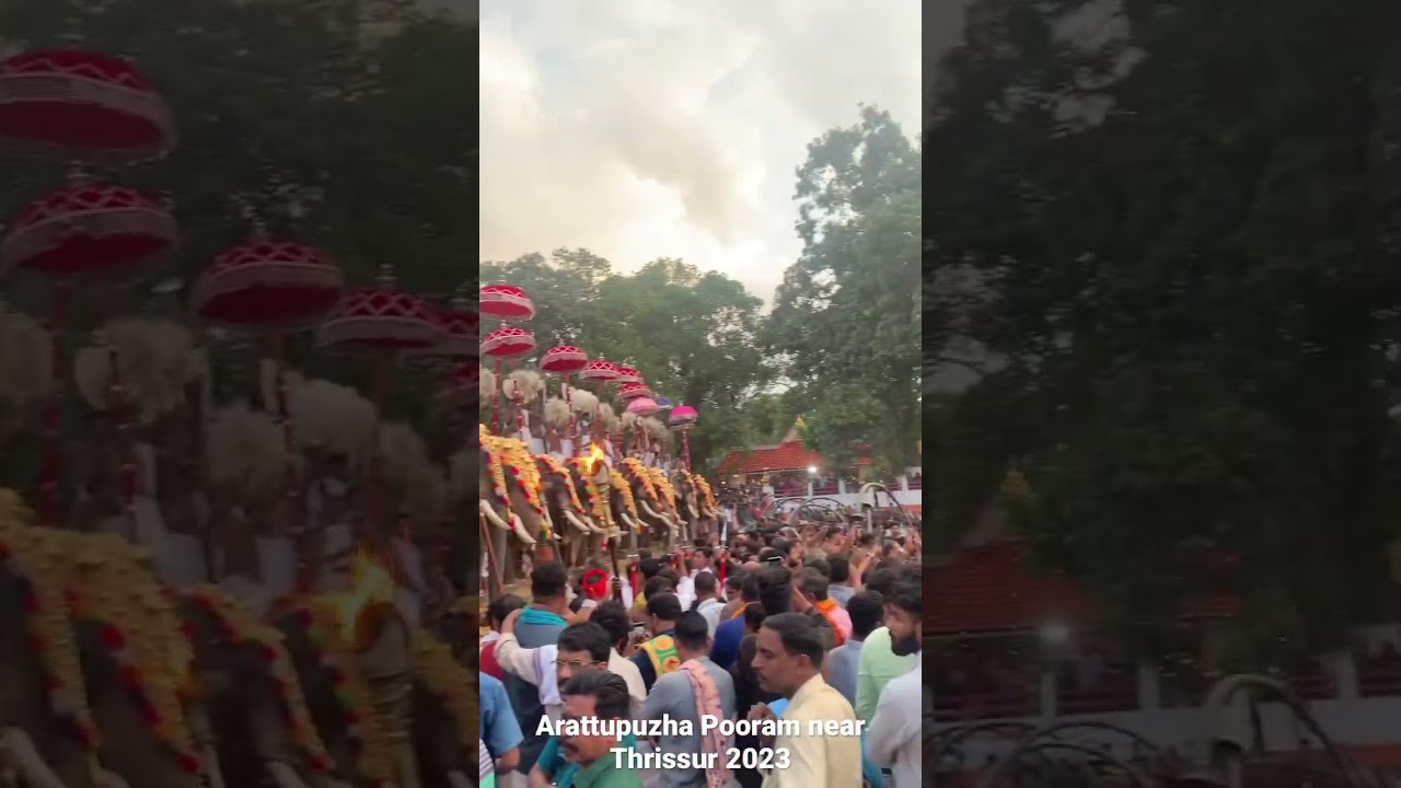 Arattupuzha Pooram Thrissur Kerala #pooram #kerala #thrissur #travel