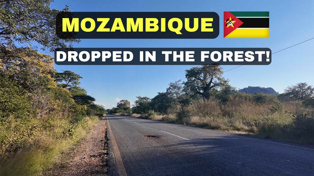 I was dropped in the Forest in MOZAMBIQUE🇲🇿 This was really scary!