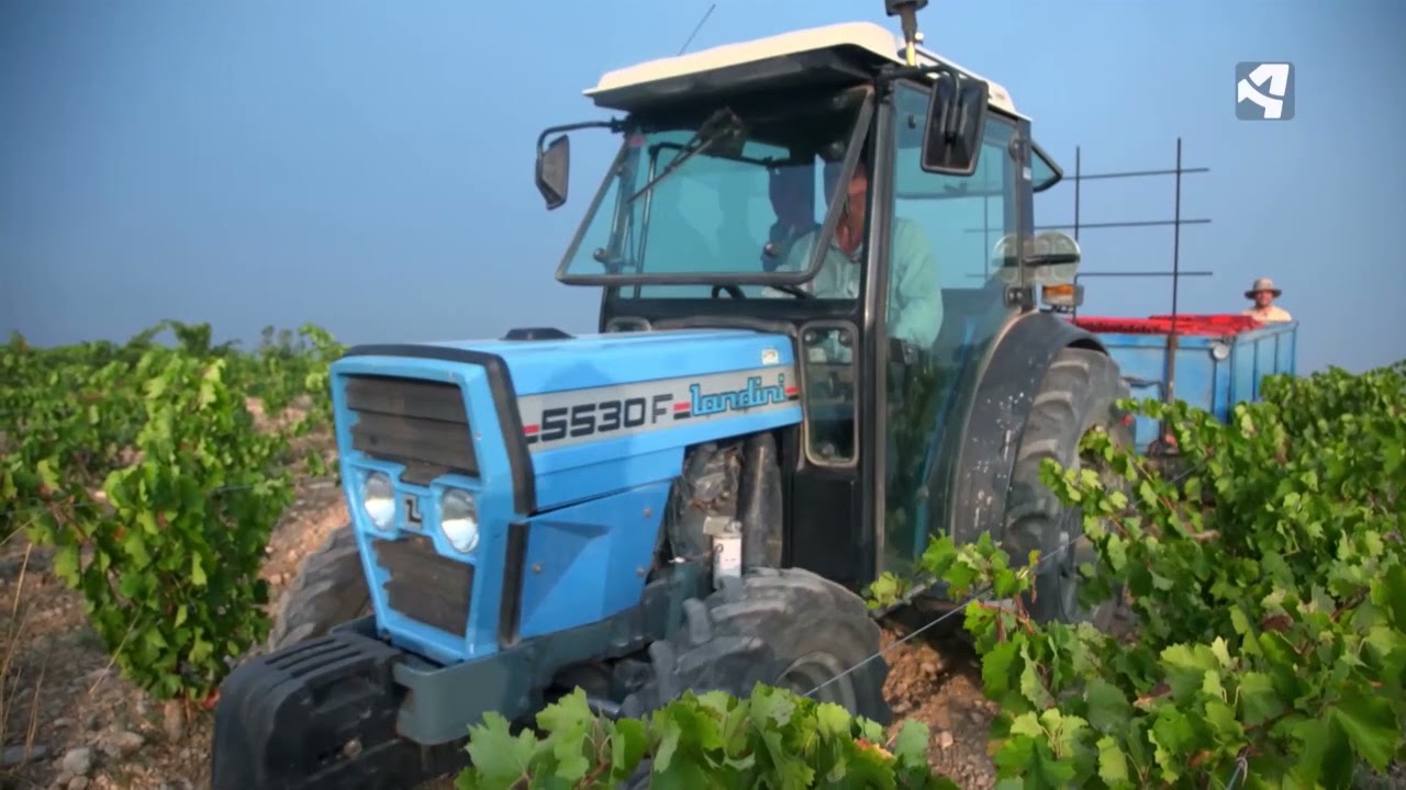 Fernando Mir nos da las claves de la calidad de su vino