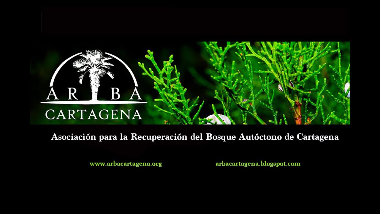 Vegetación de la Sierra de la Muela, Cabo Tiñoso y Roldán. ARBA Cartagena