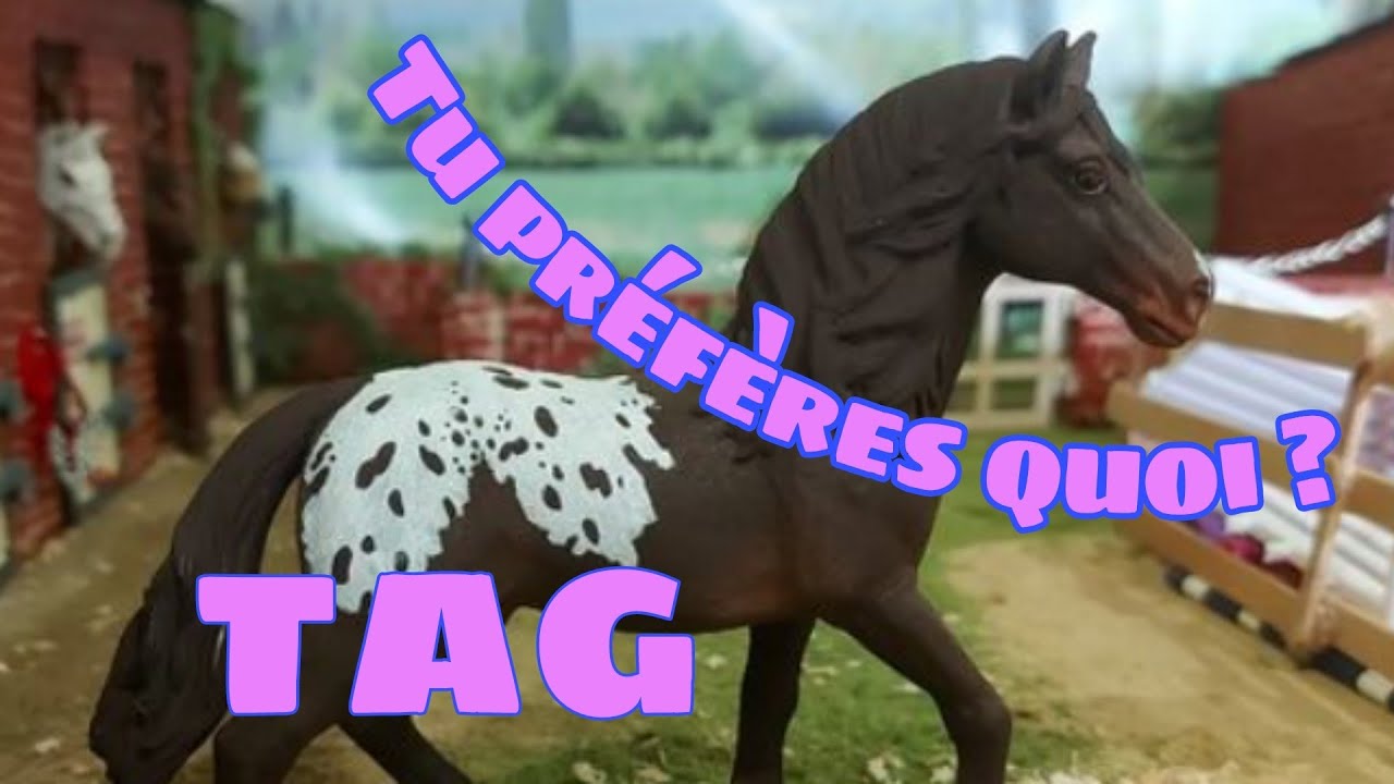 [TAG] Tu préfères ... ou ... ? Vos questions sur instagram !
