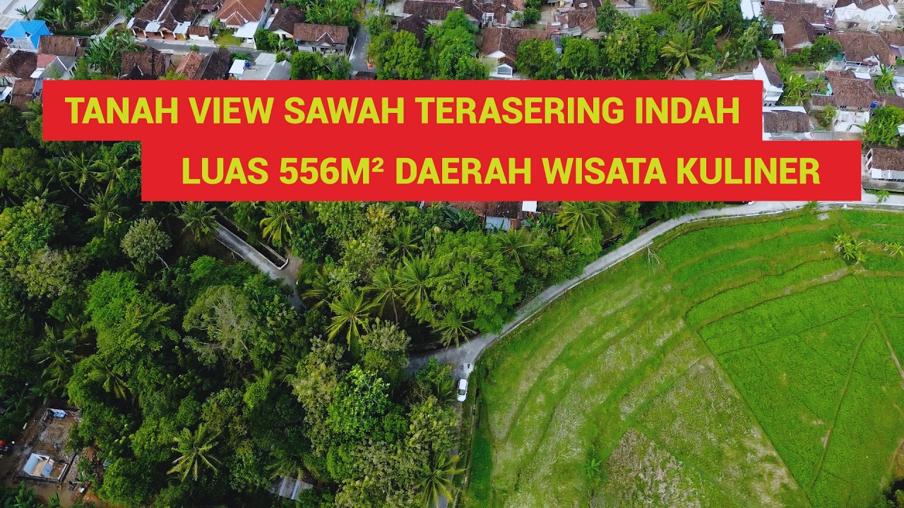 Tanah View Sawah Terasering Indah Luas 556m² Berada Di Daerah Wisata Kuliner