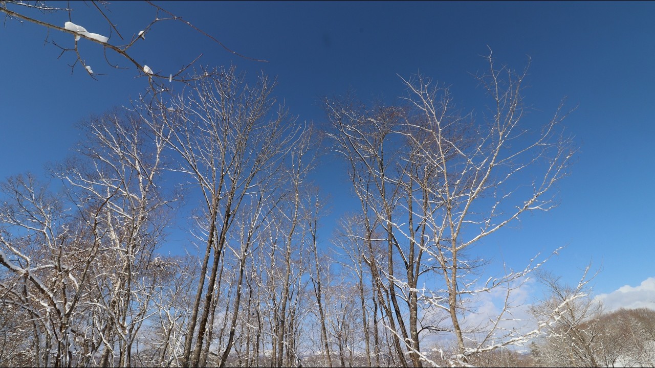 Rachmaninoff:Piano Concerto No.2 in C minor, Op.18 1st movement(1929).Sergei Rachmaninoff(piano).