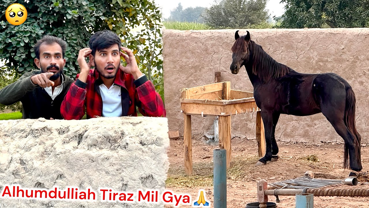 BASSAM KY FARM SY HORSE🐴 MIL GYA 🤬