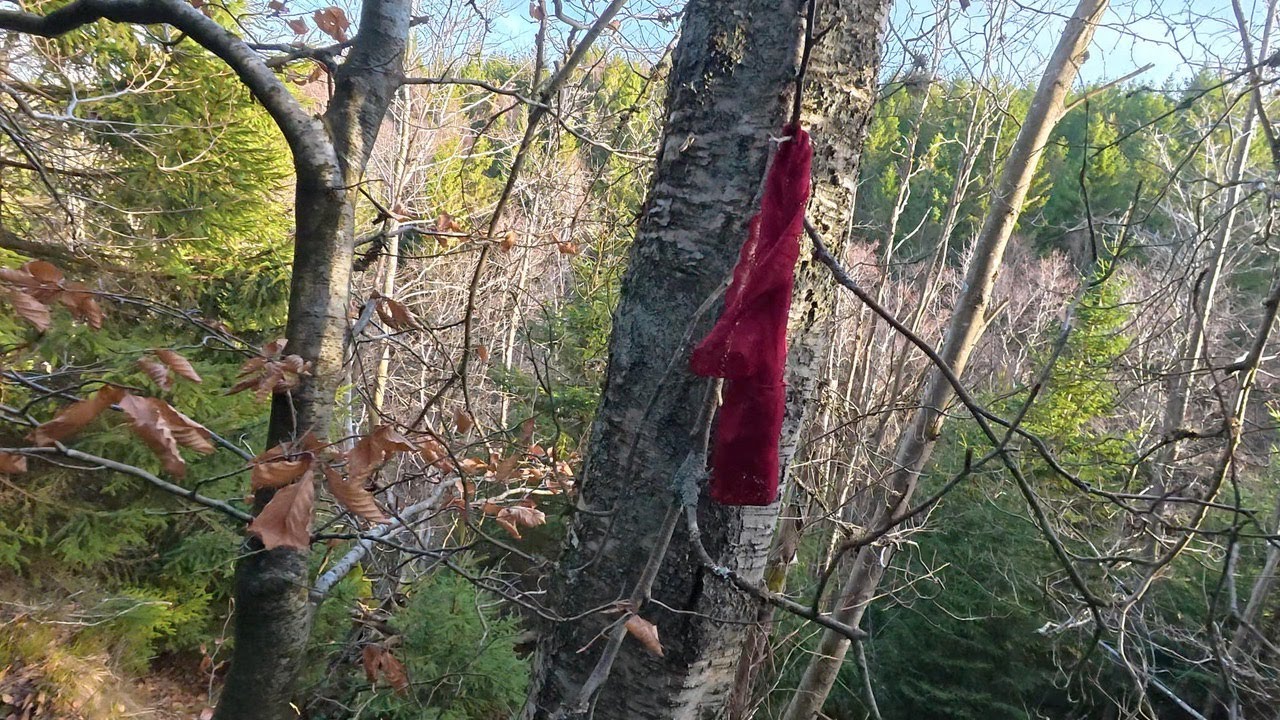 Eckertalsperre im Harz zu Fuß