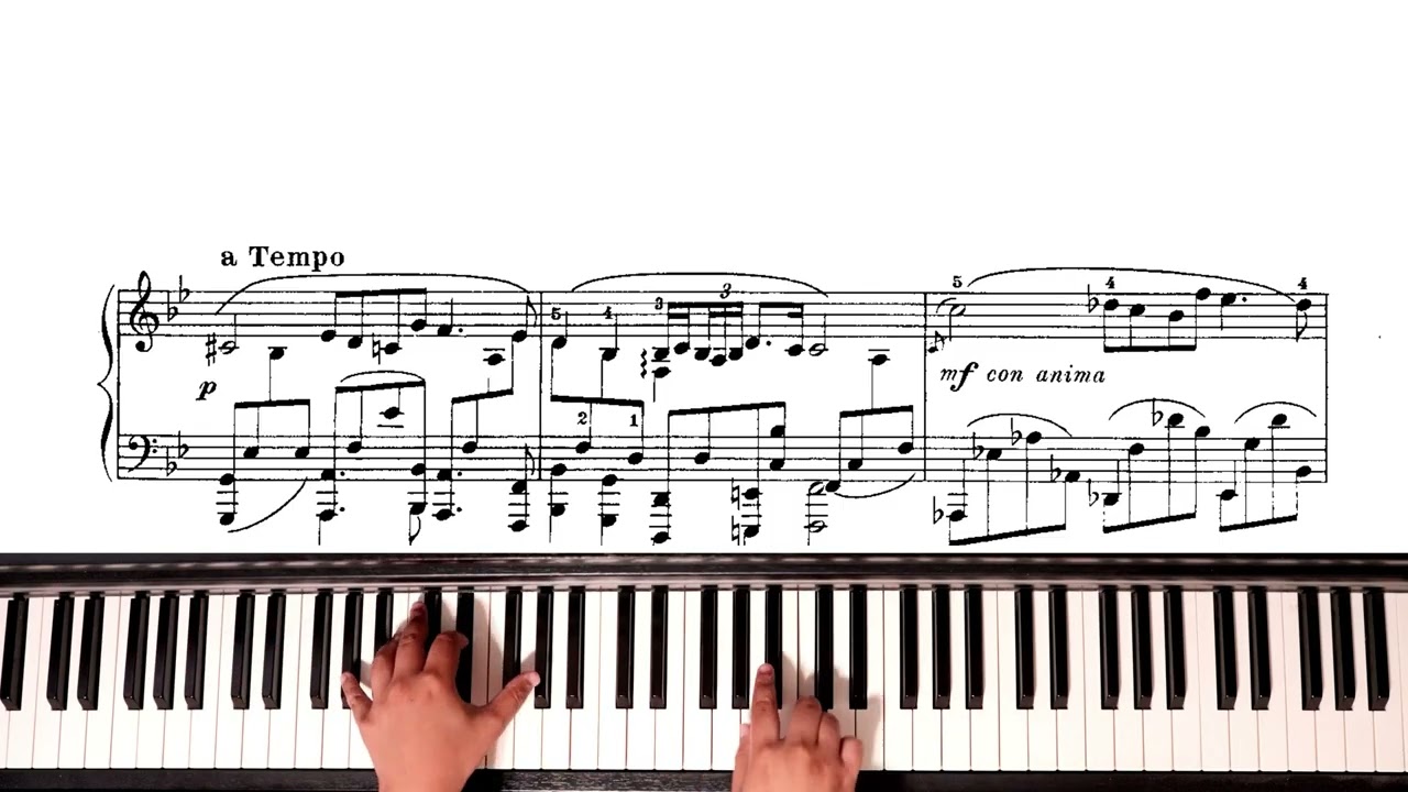 Frédéric Chopin – Cello Sonata in G minor, Op. 65 – III. Largo (Piano Solo, arr. Alfred Cortot)