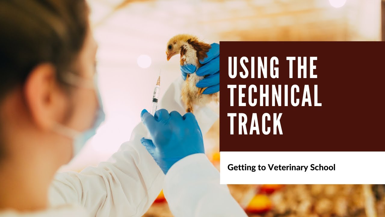 Using the Technical Track: Getting to Veterinary School