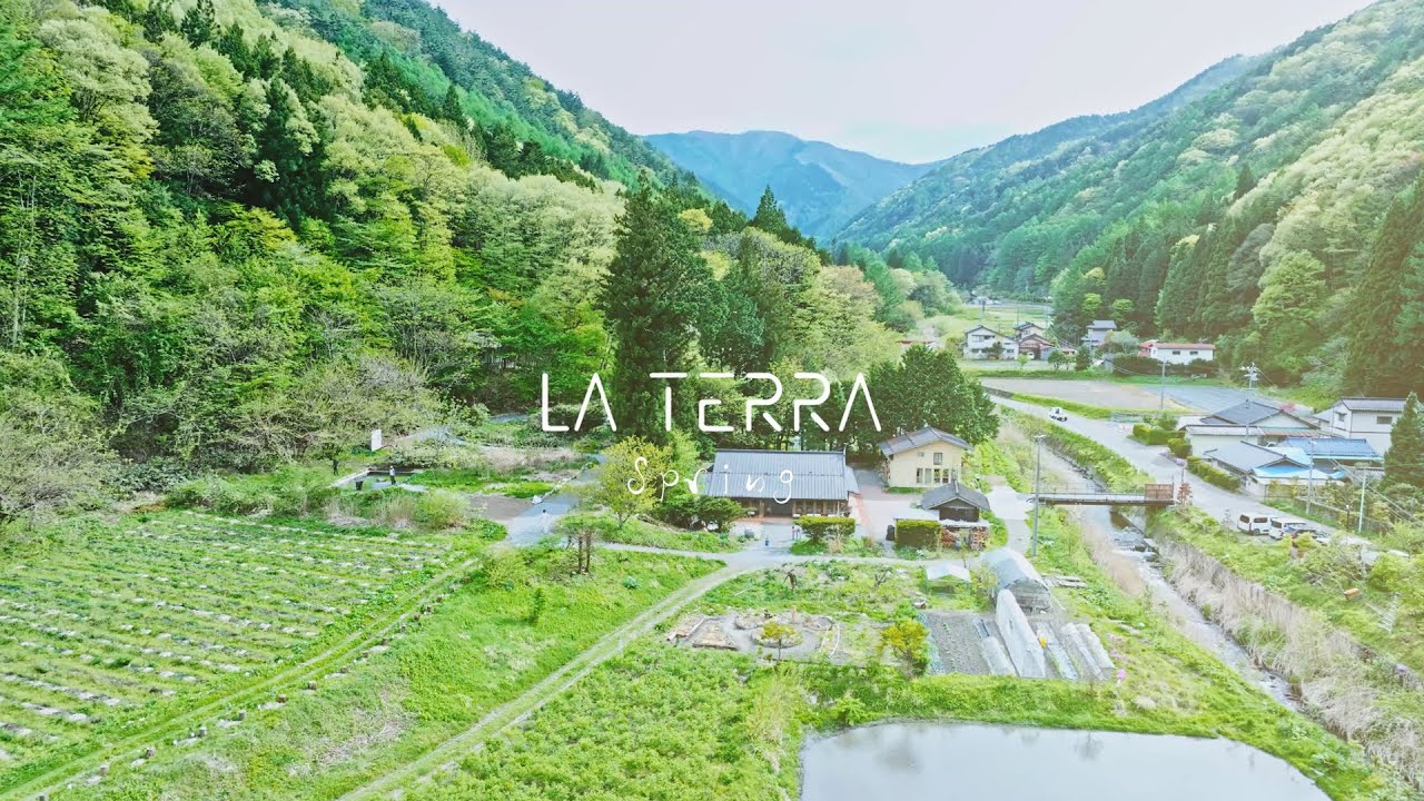 La Terra Resort spring2024