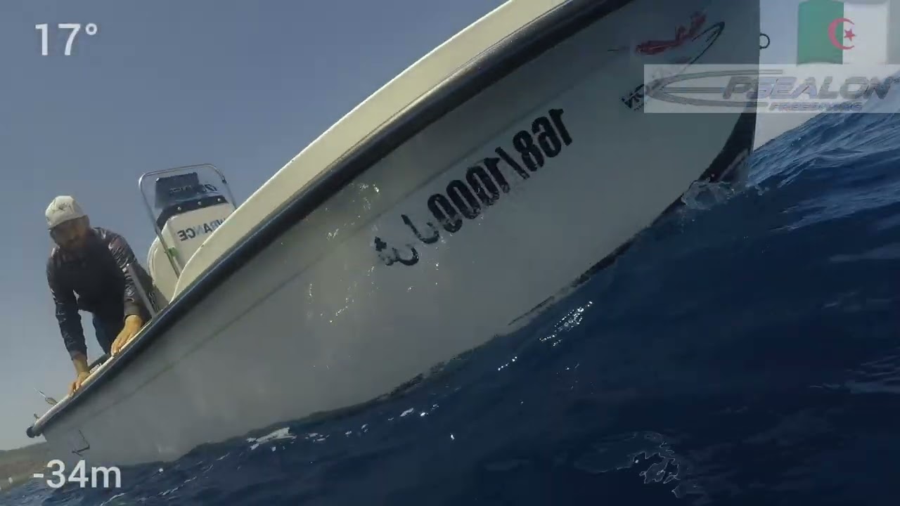 mérou 23kg à 34m de profondeur