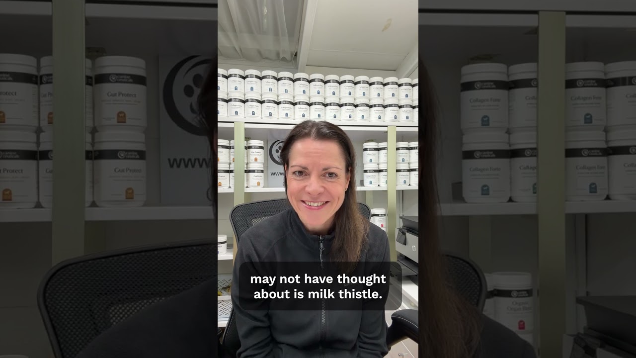 Chronic Kidney Disease in Dogs: How to Support and Manage CKD Naturally - Thursday Thoughts