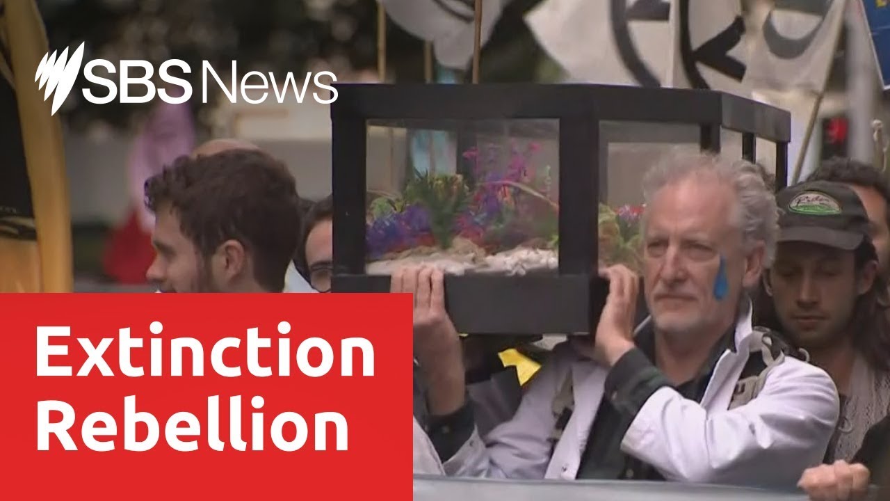 Dozens arrested as Australians join global wave of 'disruptive' eco protests