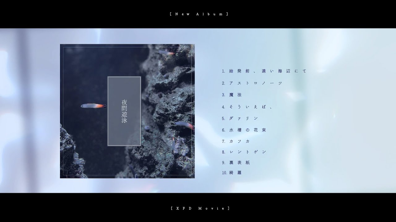 いぬころ1stアルバム「夜間遊泳」XFD