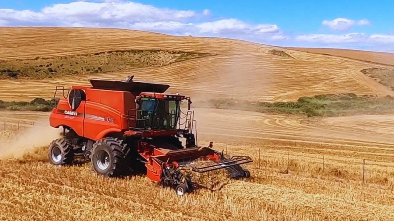 Harvesting wheat in Overberg, South Africa.