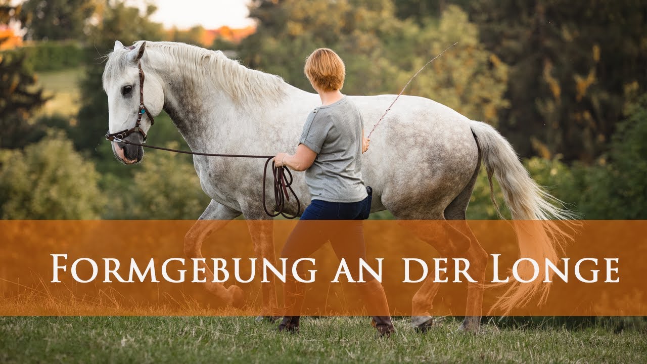 Alles konstant in Form an der Longe?