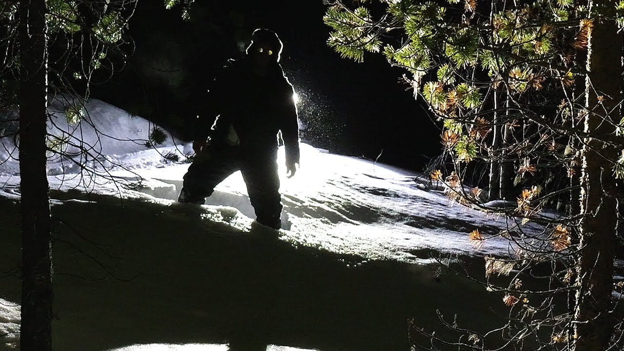 Аномальная оттепель / Поиск избы по космоснимкам / Щука на донки