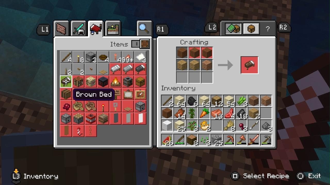 Minecraft_20260219161059
