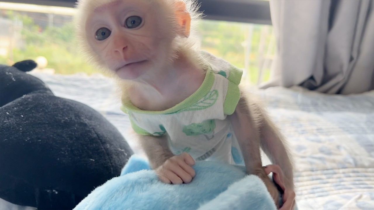 Amusing Baby Tauch Get Stare Mom Very Eager Get Out Bathroom