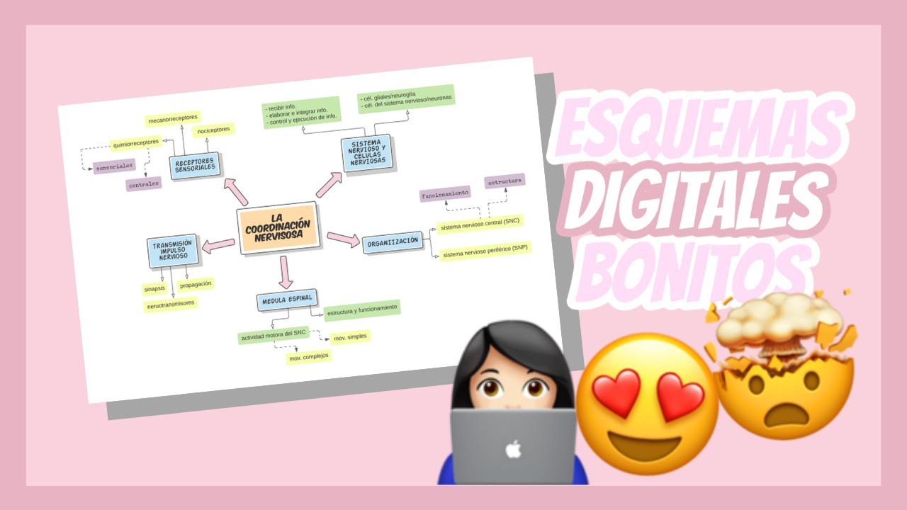 Cómo hacer ESQUEMAS DIGITALES y BONITOS 😍 | Clau's