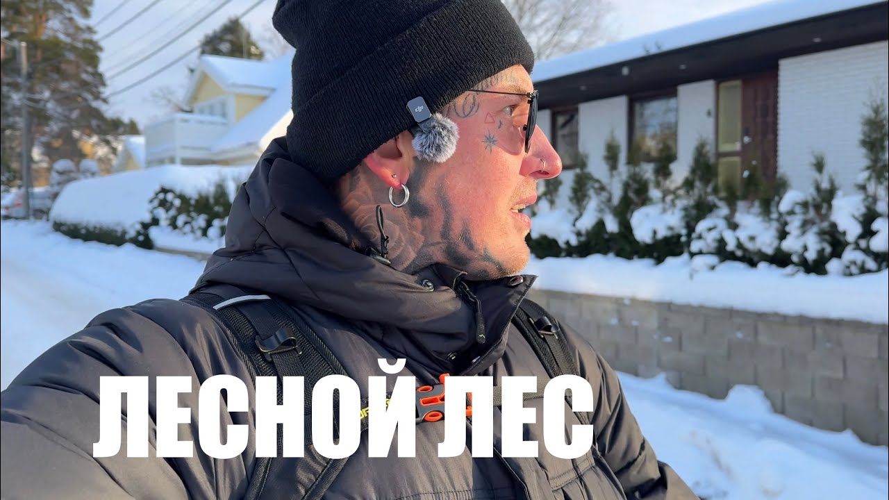 Лесной лес 🌲 | Поиски себя | Жизнь в Швеции