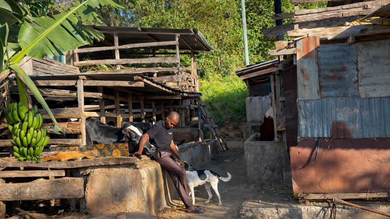This village life is really beautiful | The Peace Within