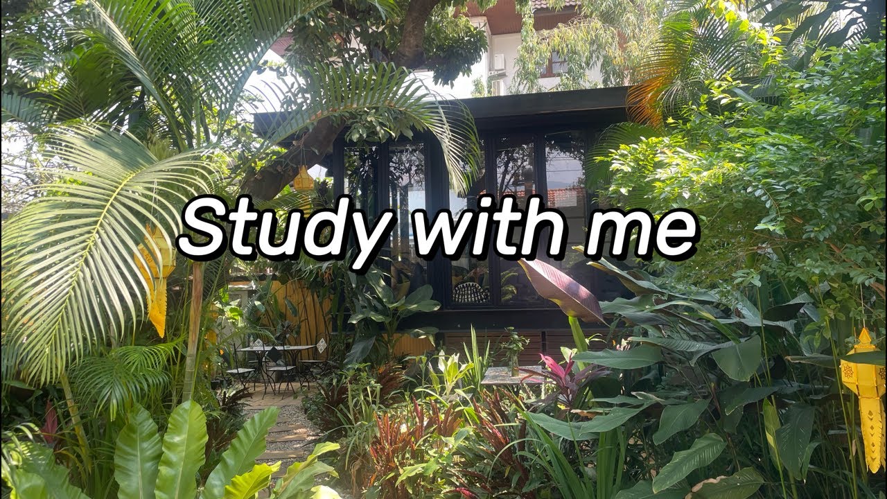 God Love You✝️❤️Don’t worry /4-hour study/Learn English PTE/Silent/Focus/Company/Motivation学习英语直播