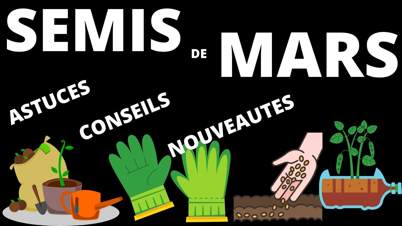 semis de mars (astuces , conseils et nouveautés )