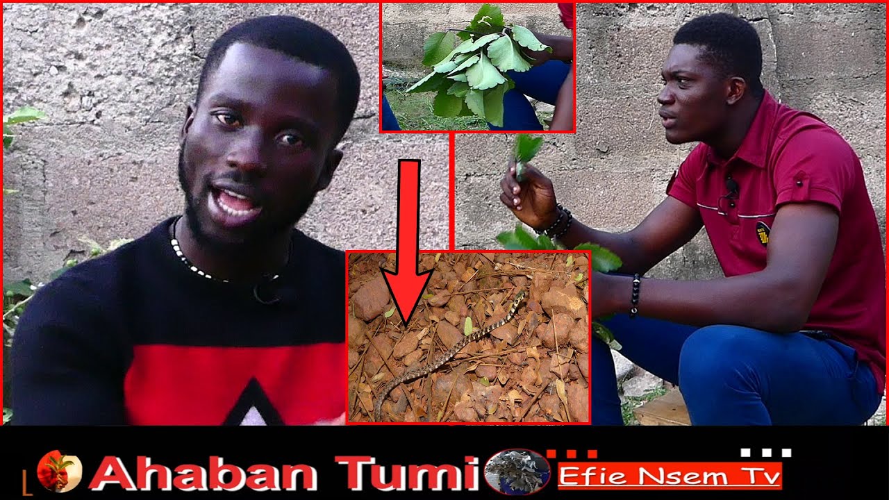 Use red pen write your enemies name on this leave and see what will happen - Ahaban Tumi