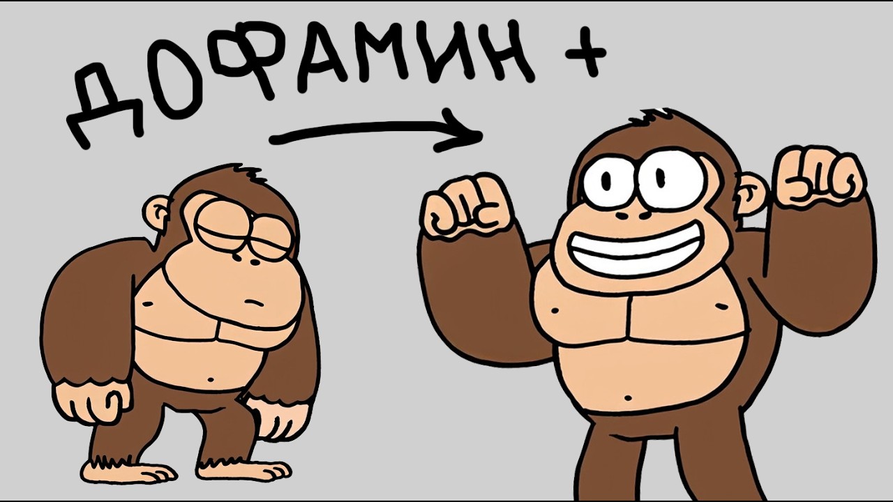 Можно ли обмануть мозг и полюбить сложное? (дофамин детокс)