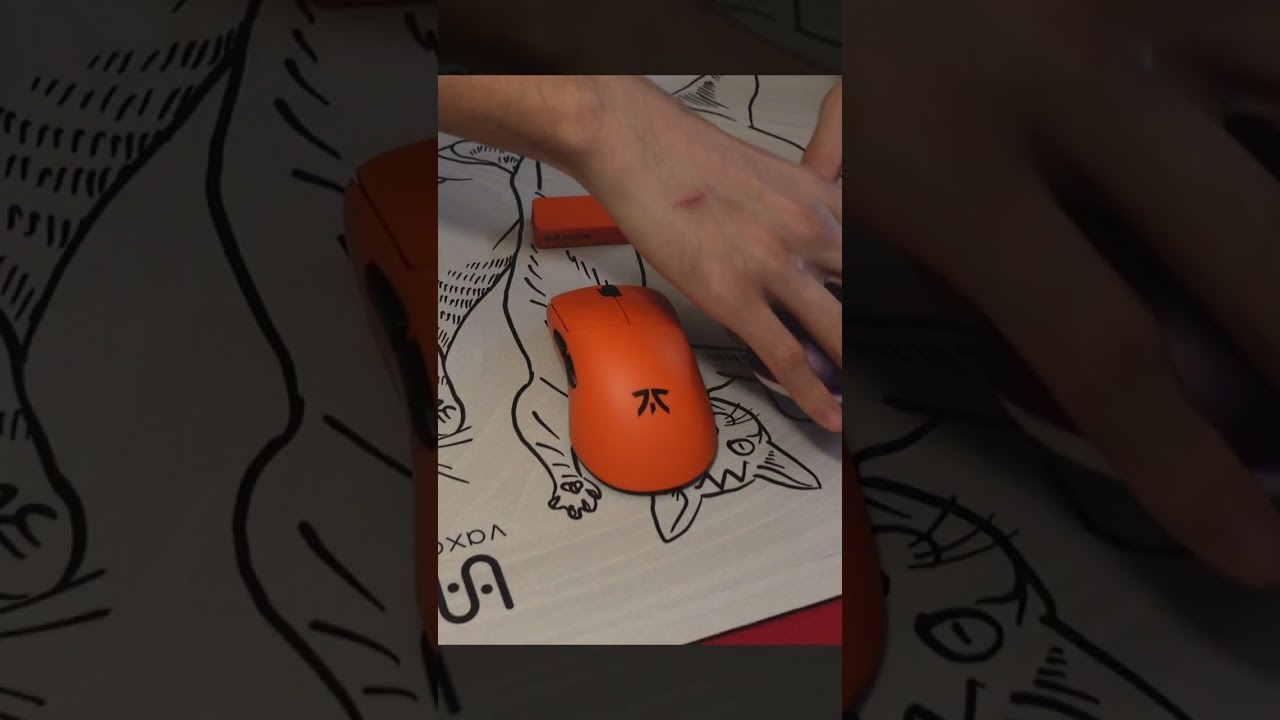 FNATIC Lamzu Thorn Unboxing