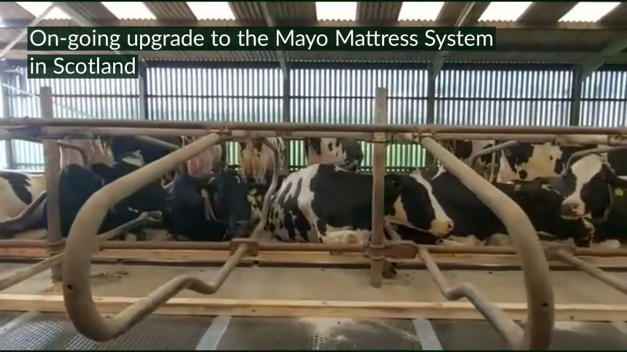 Mayo Mattress System Install in Scotland