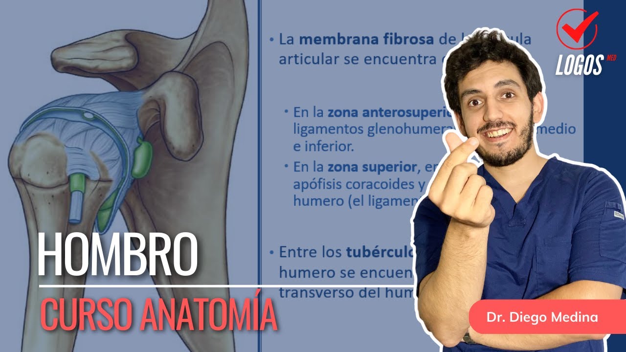 Hombro | Curso Anatomía Humana
