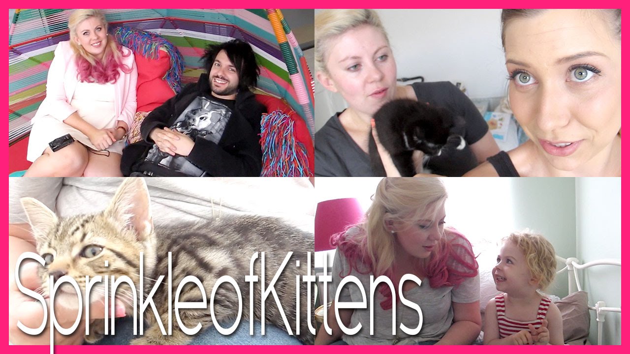 SprinkleofKittens