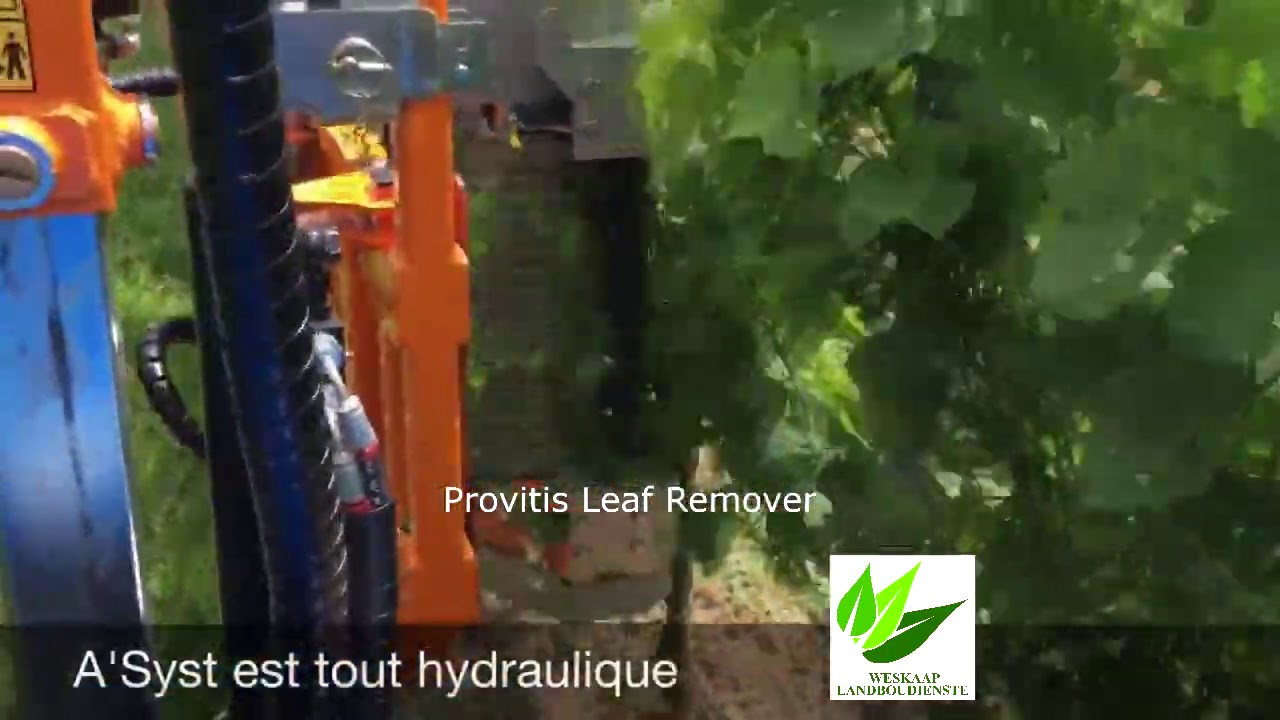 Provitis Leaf Remover - LR350