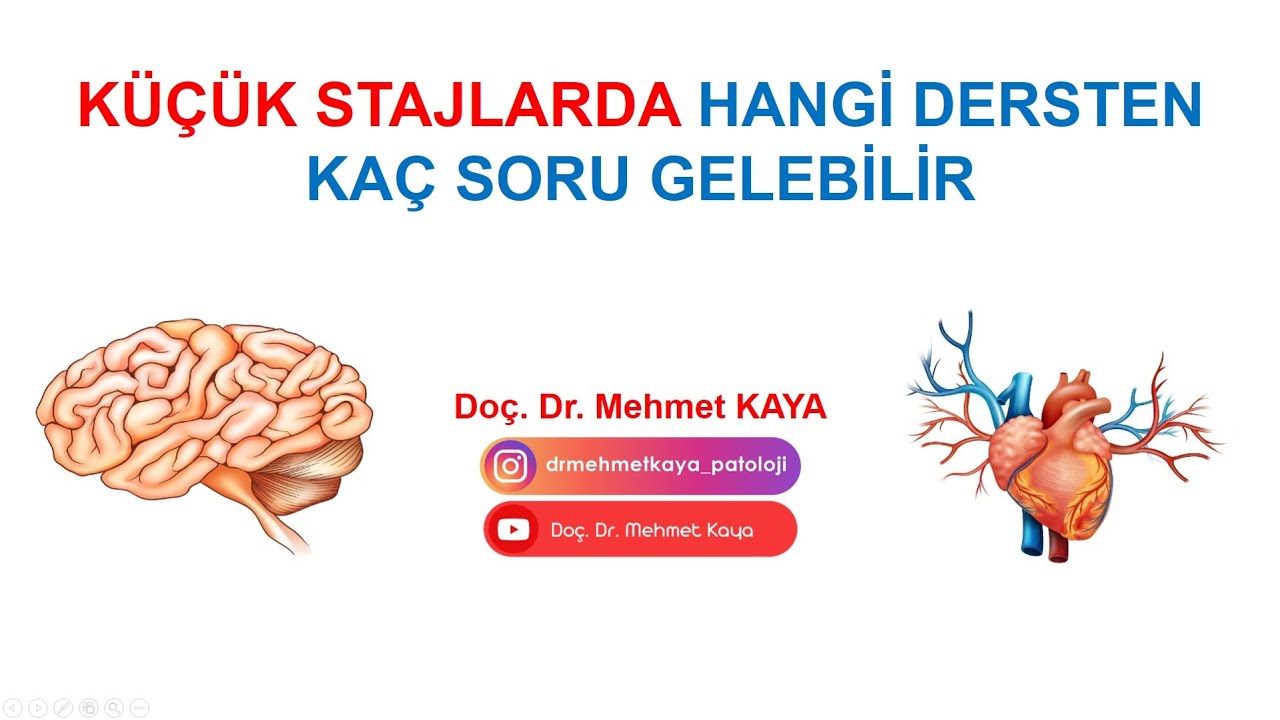 Küçük stajlarda hangi dersten kaç soru gelebilir