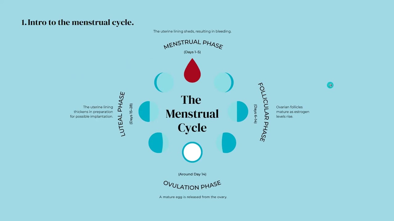 Harness the power of your menstrual cycle | With Mooncup