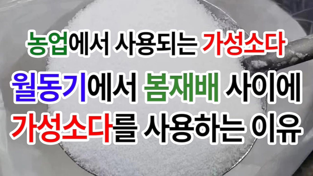 농업에서 사용되는 가성소다의 놀라운 효과와 봄재배 전에 사용해야하는 이유