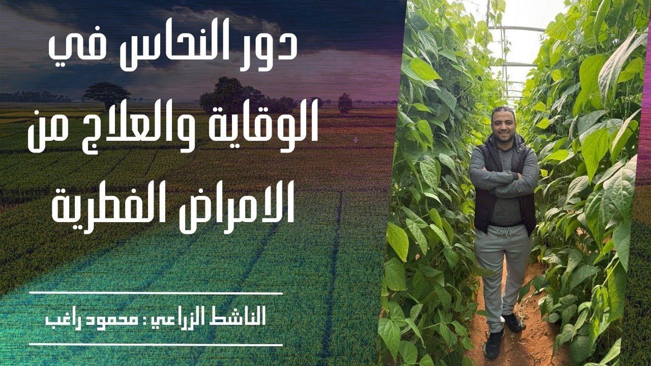 النحاس في الوقاية والعلاج| الناشط الزراعي محمود راغب