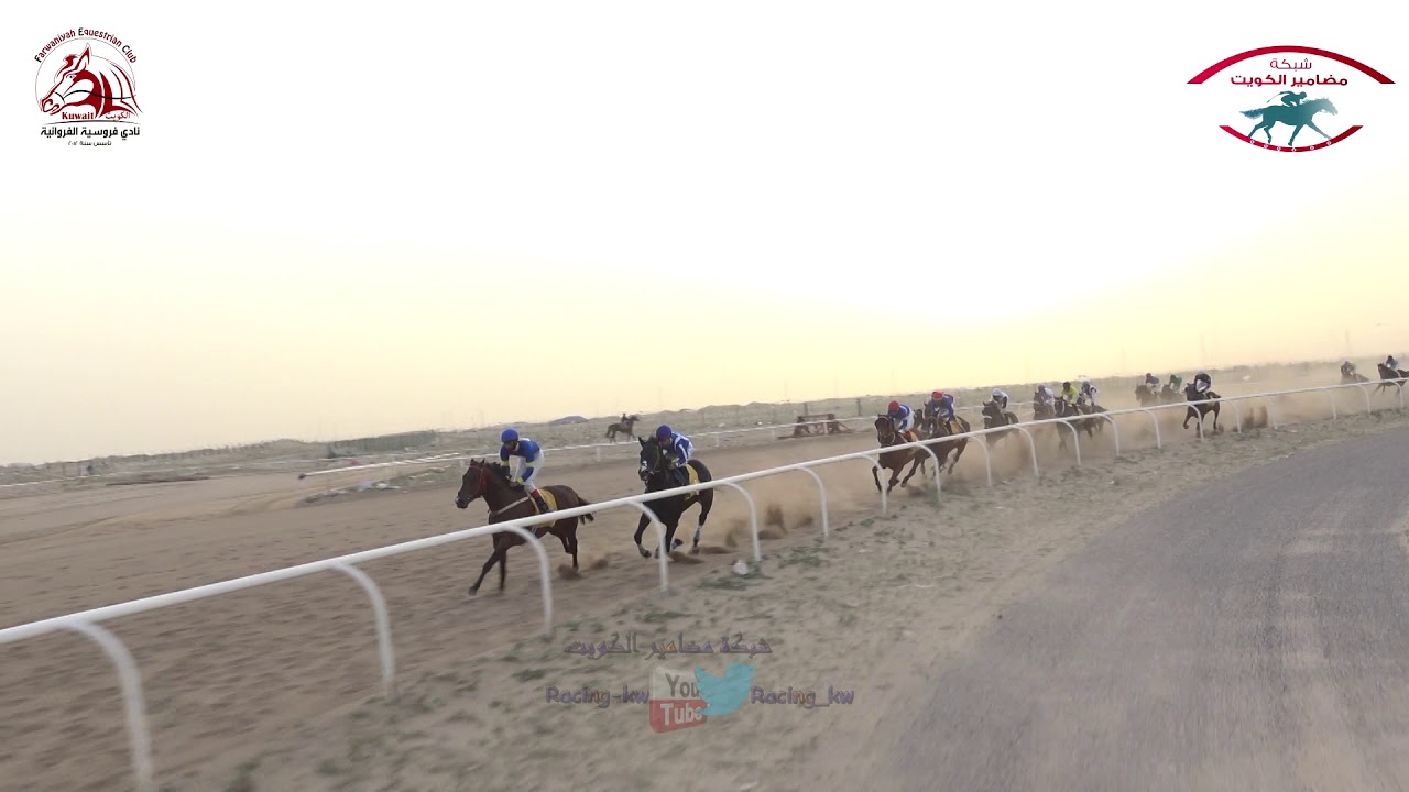 البطل سياف لـ أسطبل السيحان